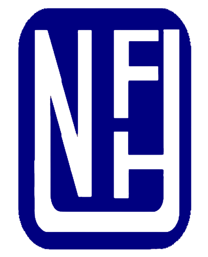 noorsons logo transpearent